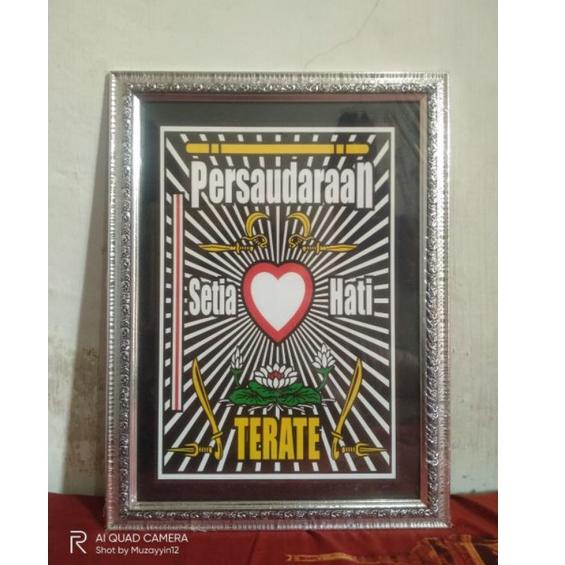 <H-IAE> <㊚> Figura PSHT Hologram kaca keren |langsung kirim>