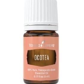 Essential Oil Yl Ocotea 5 Ml Antogondrong12