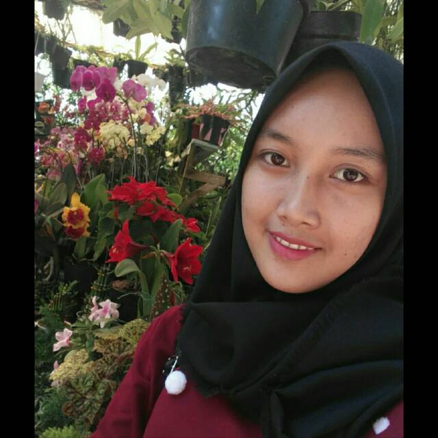 heni_zelvia12