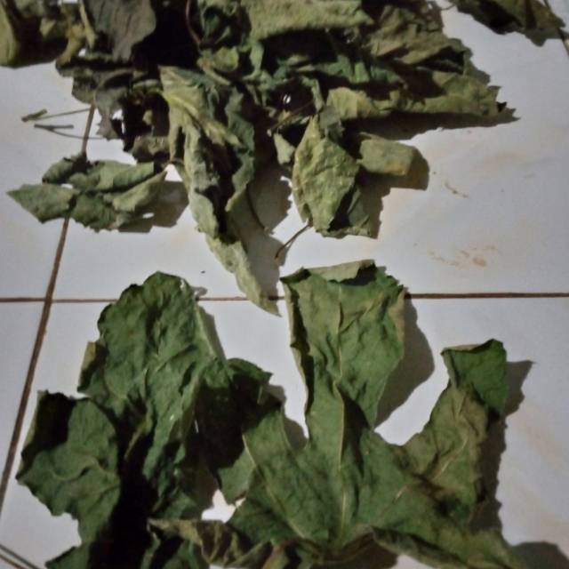 

daun tin kering