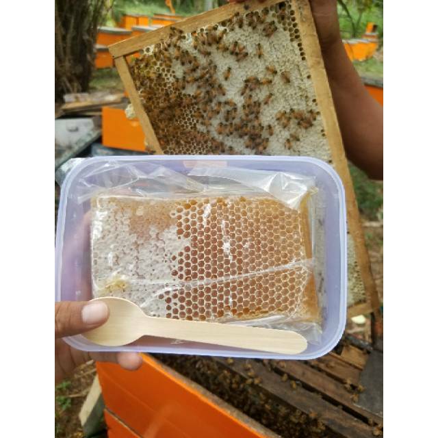 

[500 GR] SARANG MADU ASLI MELIFERA TERMURAH / MADU SARANG / HONEYCOMB