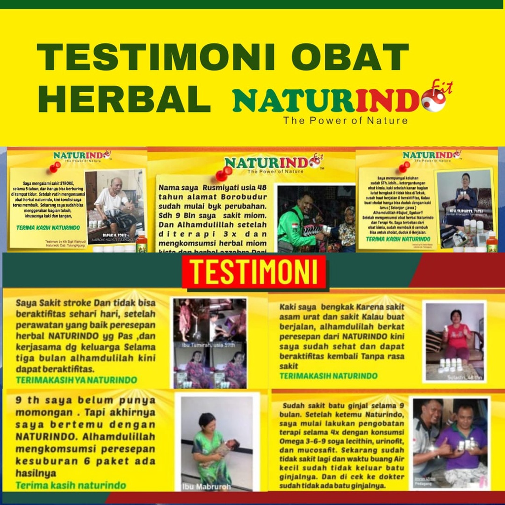 Obat Gemuk Permanen Penggemuk badan Herbal BPOM Penambah Berat Badan Susah Gemuk