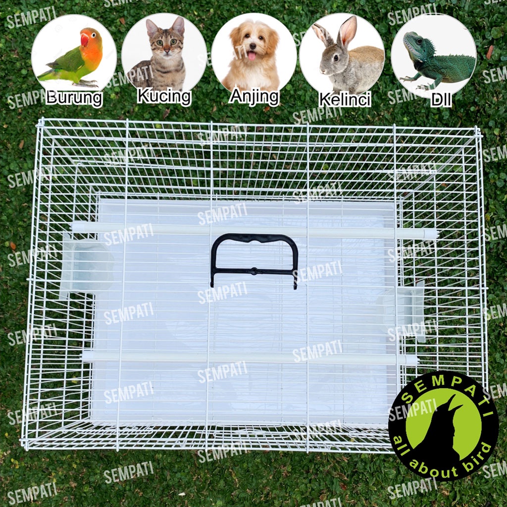 SANGKAR KUCING KANDANG KUCING LARGE JUMBO BESI IMPORT BESAR-1