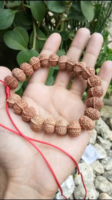 GELANG GANESHA JENITRI RUDRAKSHA