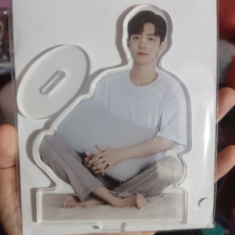 Xiao Zhan Mendale Acrylic Standee