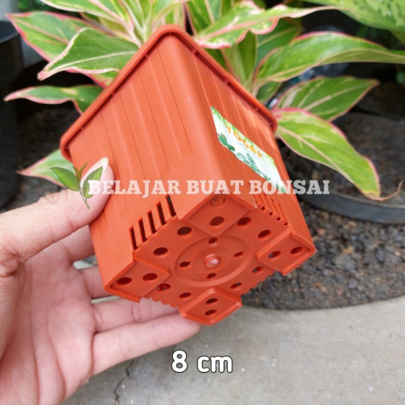 Pot Kotak YPK 8 Cm Pot Tanaman