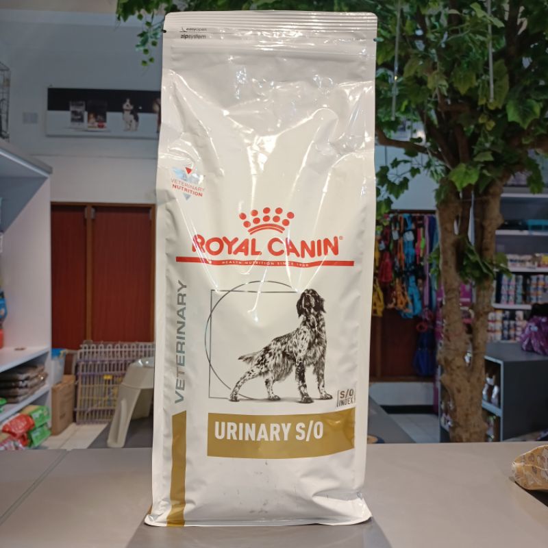 Royal Canin Urinary S/O Dog 2kg | RC Makanan Anjing Urinary SO