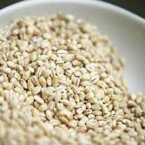 

[KODE PRODUK Z9282] Biji Jali-Jali Pearl Barley Biji Jali khasiat buat Kesehatan 500g
