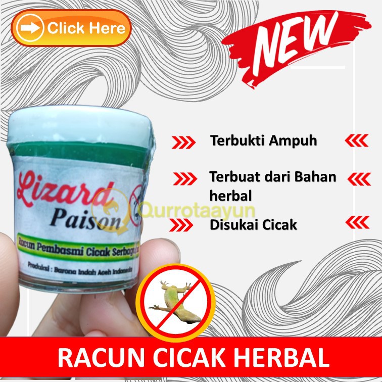 Distributor Racun Cicak, Pembasmi Cicak, Racun Cicak Ampuh, Racun Cicak dan Tokek, Obat Cicak Herbal