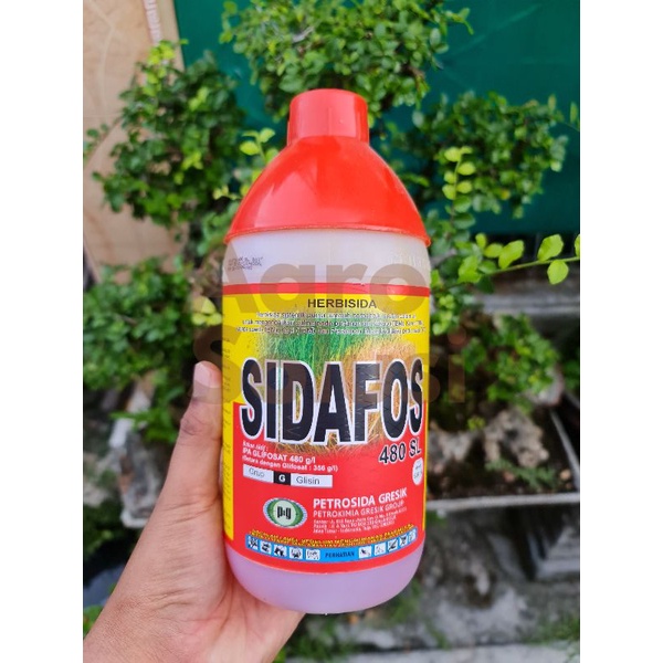 Sidafos 480 SL 1 Liter