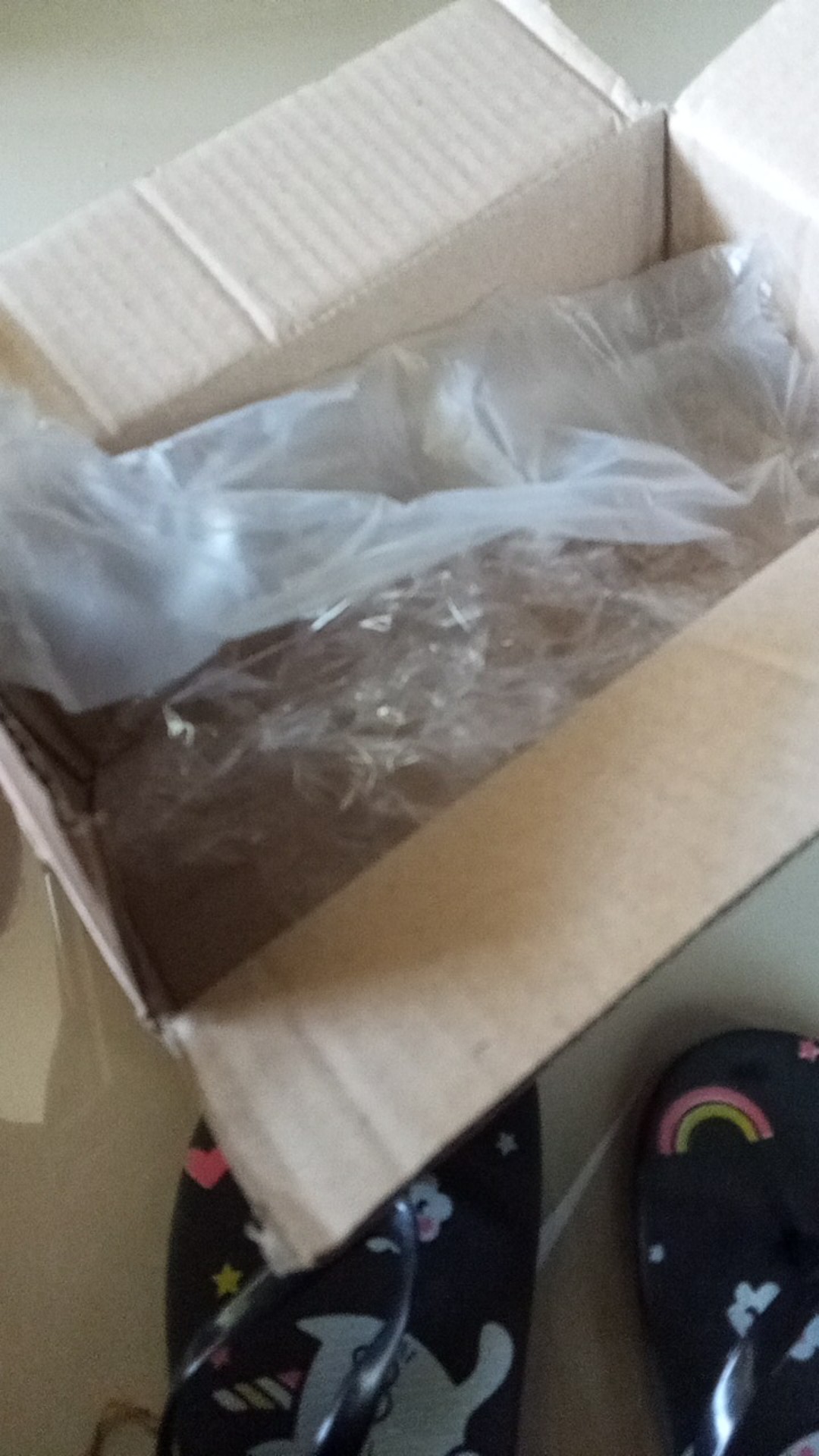 My Bottle Kotak Warna Bening Botol Minum 500ml