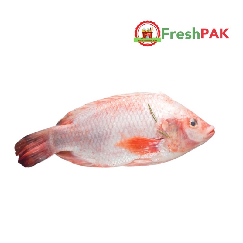 

FreshPAK - Ikan Nila Merah Segar 1 kg / Ikan Sear