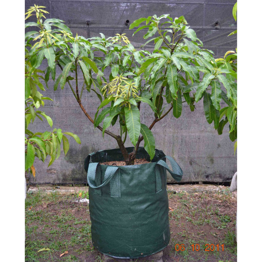 Terlaris Planter Bag 200 Liter Grosir