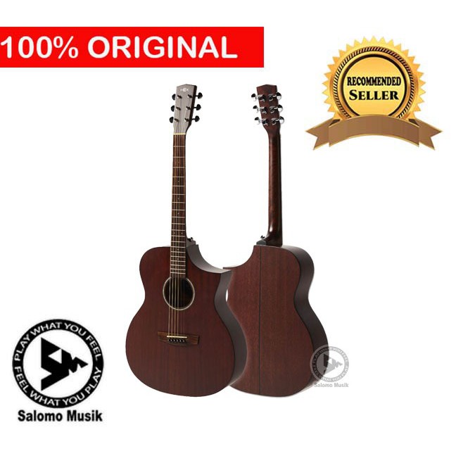 Gitar Akustik Acoustic Elektrik Electric Hex F120 CE M