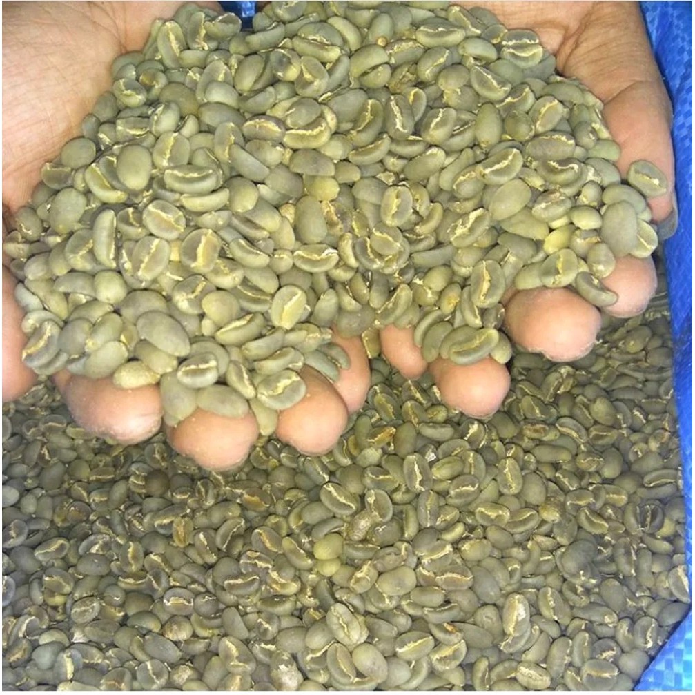 

Kopi Greenben Sapan Toraja 5 Kilo