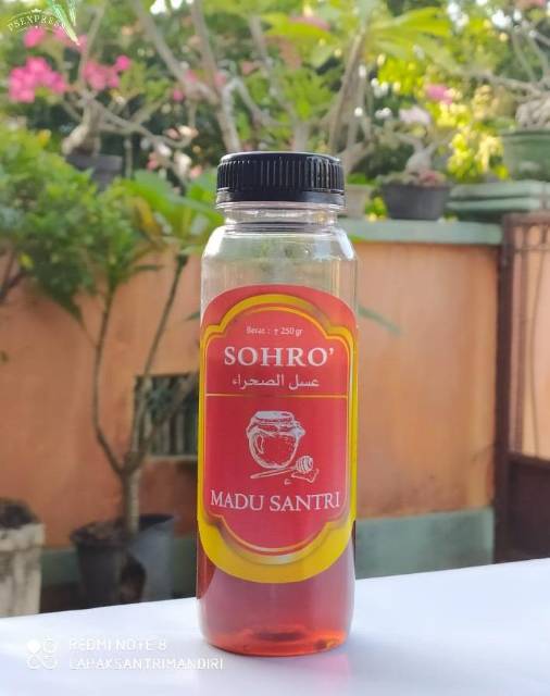 Madu Mesir Sohro Gurun pasir original/ Marjoram/ Sokhro/ Sohro' Honey