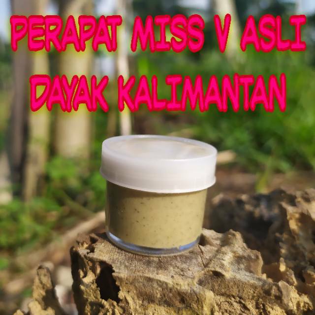 RAMUAN DAYAK ASLI PERAPAT MISS V KESAT RAPET BERSIH