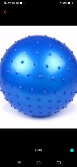 Bola Mainan Anak Anak Karet Duri (Dikirim Dari Jakarta)