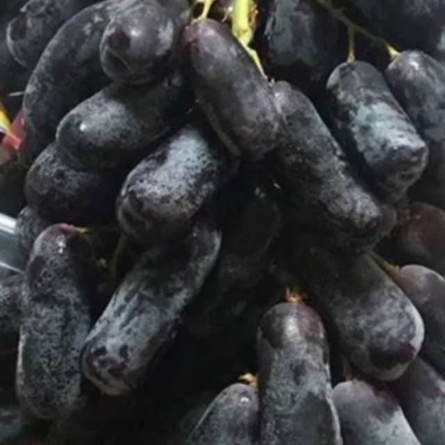 

Anggur hitam Moondrop/Black Sapphire 250gr(Manis Tanpa Biji)