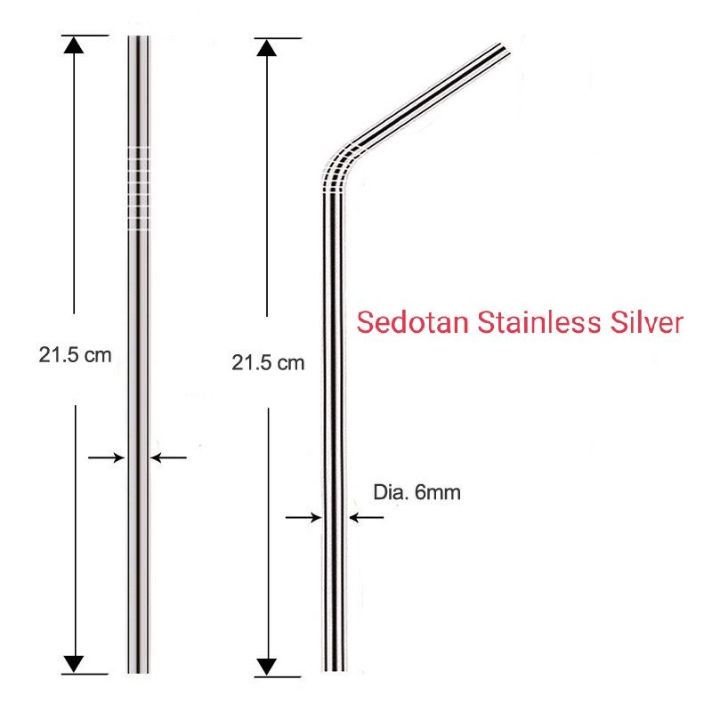 Sedotan Stainless Lurus Bengkok Silver