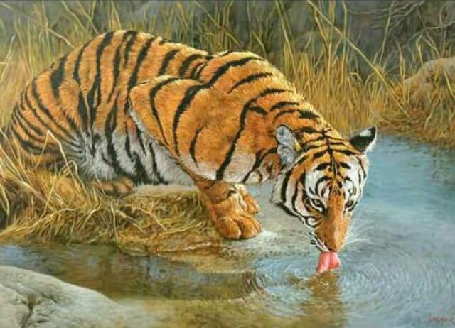 Kaki Kotak Hantaran / Seserahan Pernikahan