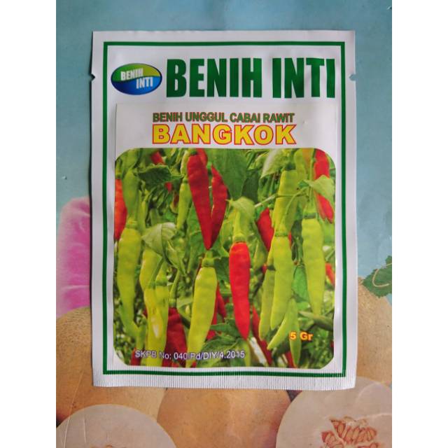 Benih Biji Cabe Rawit Putih BANGKOK 5gr