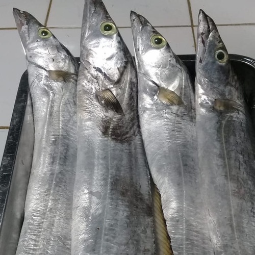 

cod/ikan asin layur besar 500gram