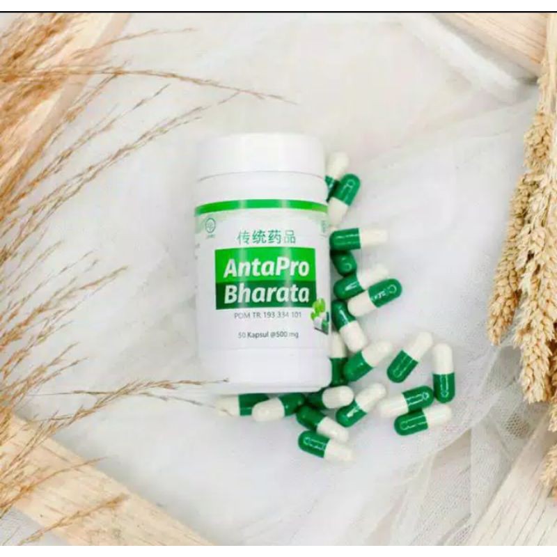 OBAT STROKE HERBAL AMPUH - HERBAL BHARATA - ANTAPRO BHARATA