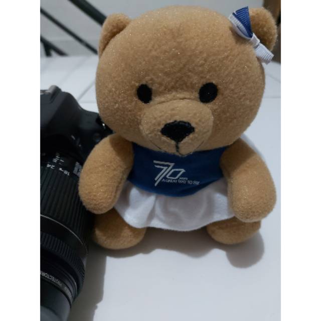 Teddy Coklat Kostum