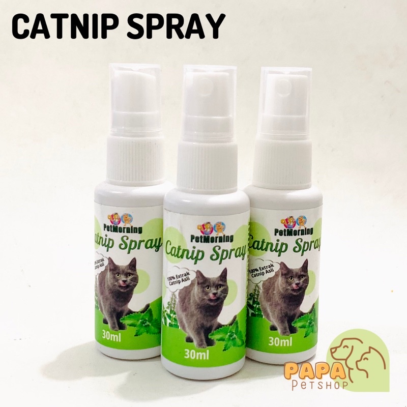 Catnip Spray untuk Kucing