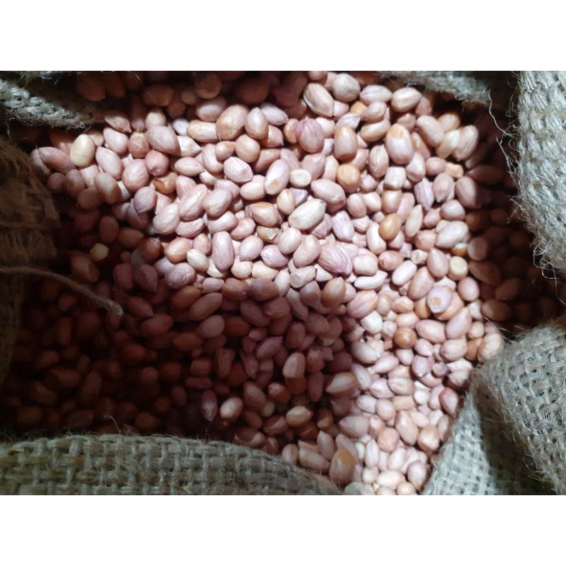 

kacang tanah 1kg