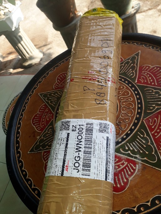 Paket Aglonema 9 Jenis