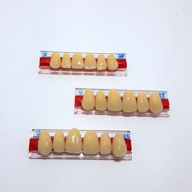 Gigi palsu Italden Warna G Ecer satu strip ( Isi 6 Buah Gigi Depan atas  )