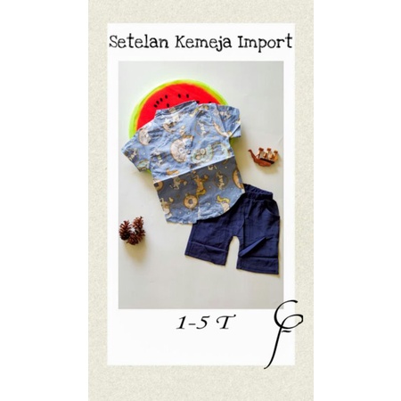 SETELAN ANAK IMPORT/SETELAN ANAK COWOK/SETELAN IMPORT