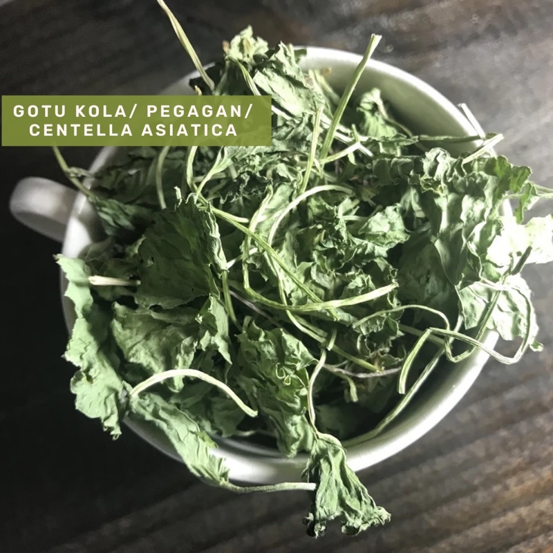 Organic&amp;Joy • Gotu Kola Leaf Tea /Teh Pegagan/Antanan (Premium Daun bersih,anti Alzheimer,Penyembuh luka)