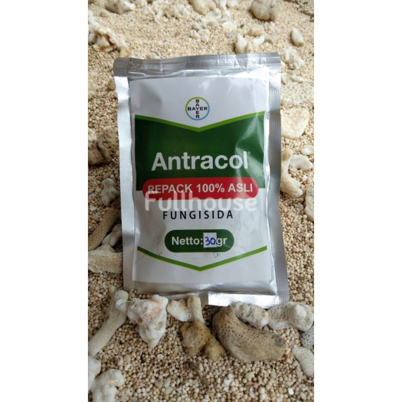 Antracol 70WP + Zinc Kemasan 30Gr Fungisida Pembasmi Jamur, Kutu Putih