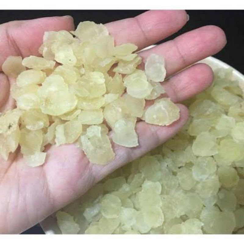 

Snow Lotus seed ( tanya stok ) eceran / xue lian / teratai salju