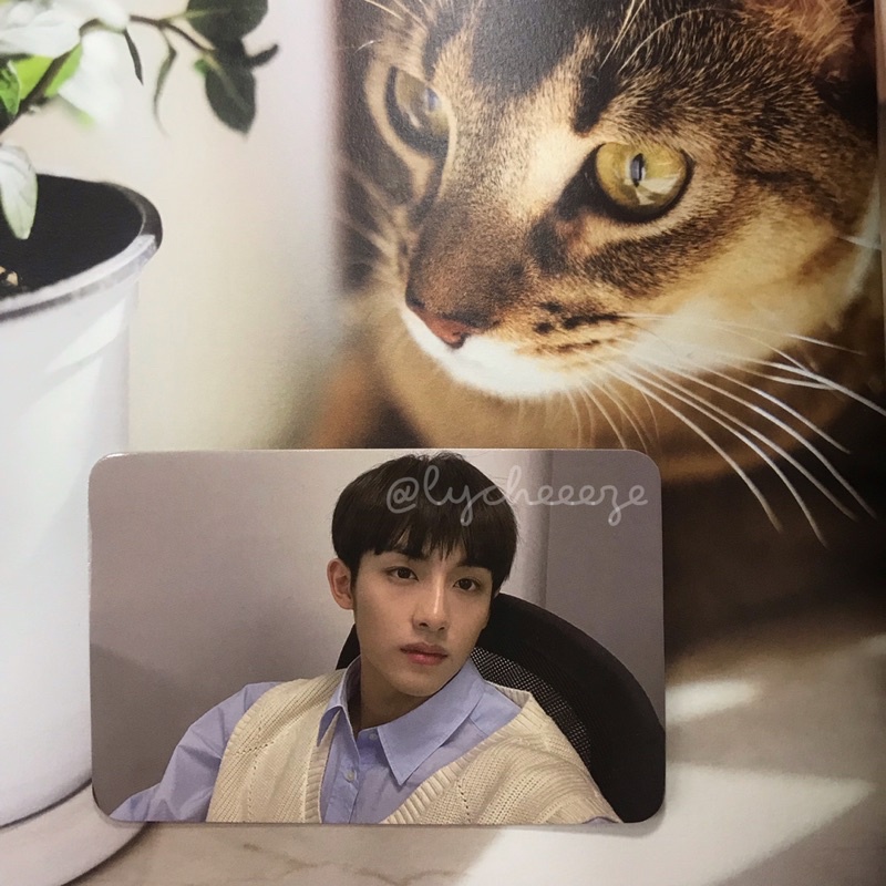 winwin owhat kick back fs 2 pc wayv nct