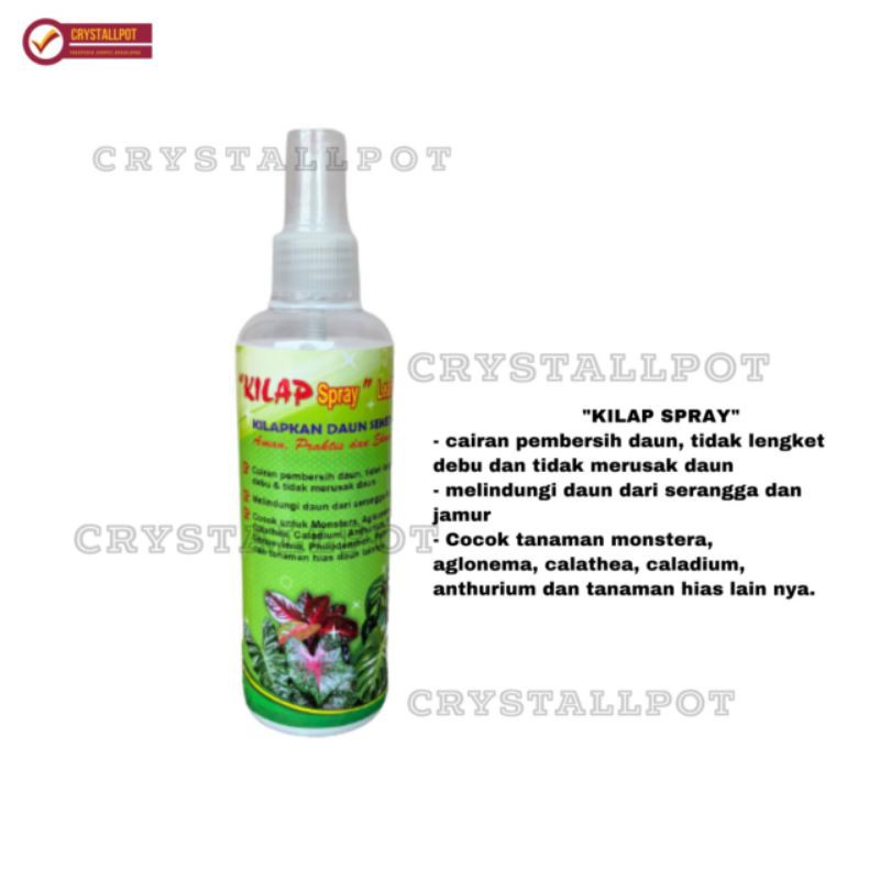 kilap leafshine spray 250 ml pengkilat daun siap pakai - KILAP BESAR