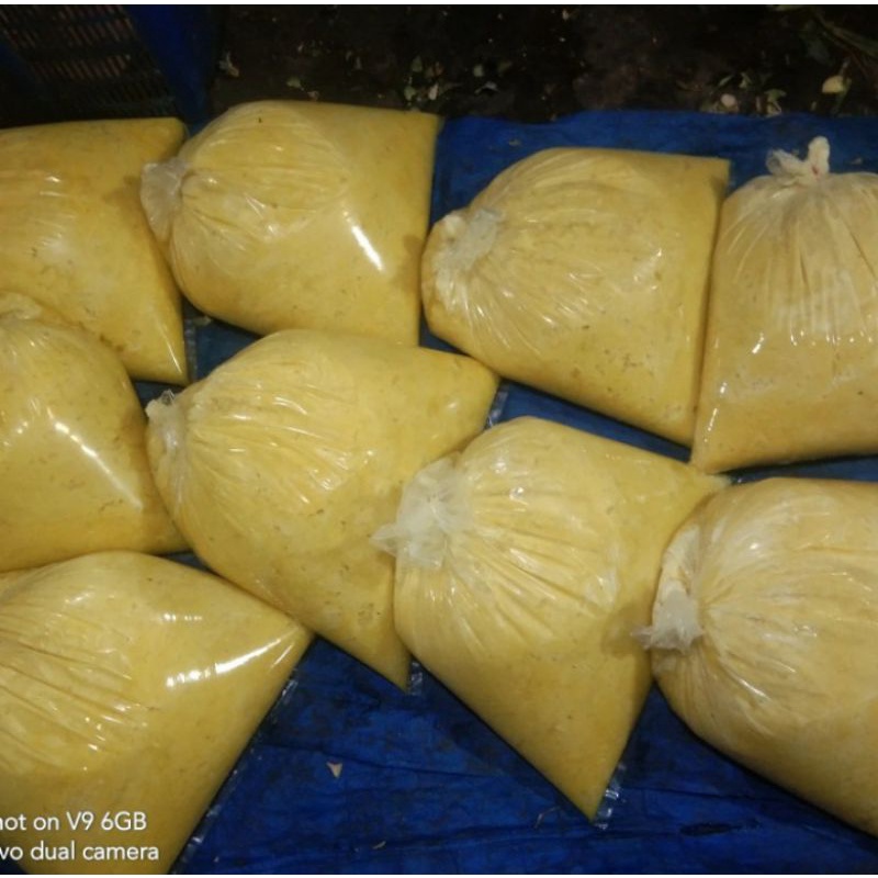 

Nanas Palembang Sudah Di Giling/Parut / Paket 10Kg