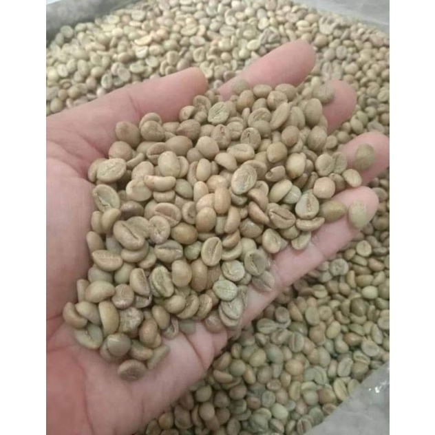 

Green Coffee Bean | Biji Kopi Mentah | Arabica | 1 kg