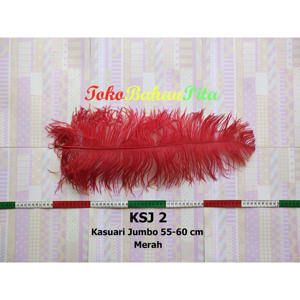 (1 HELAI) BULU DEKORASI 55-60cm KSJ 2 | OSTRICH | BULU HIAS | BULU CRAFT | TOKO BAHAN PITA