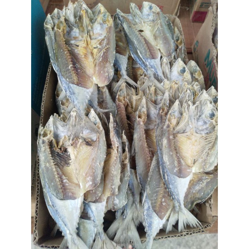 

ikan asin aso aso sumatra 250 gram