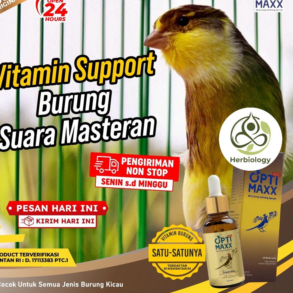 Optimaxx Vitamin Burung - Multivitamin Penggacor Burung Kicau Kenari Gacor Lovebird Murai Murai Batu