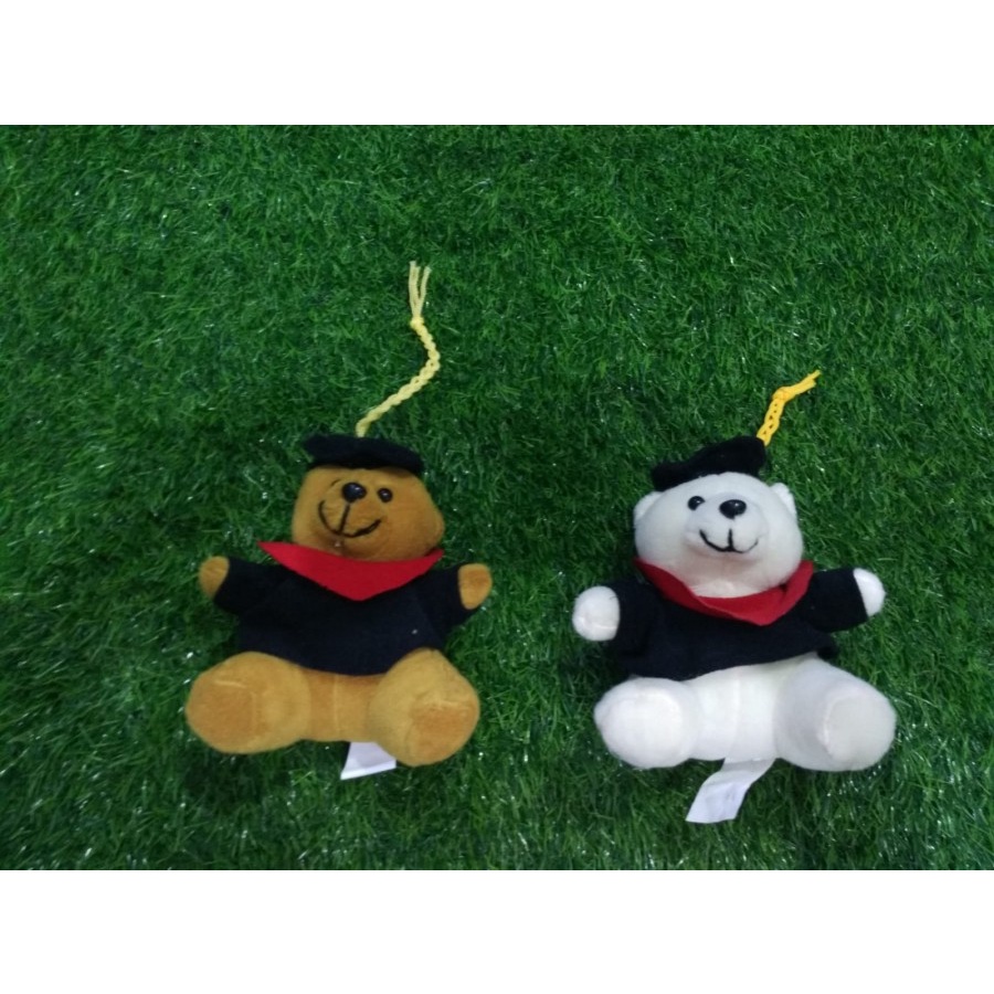Boneka Beruang Wisuda Kecil