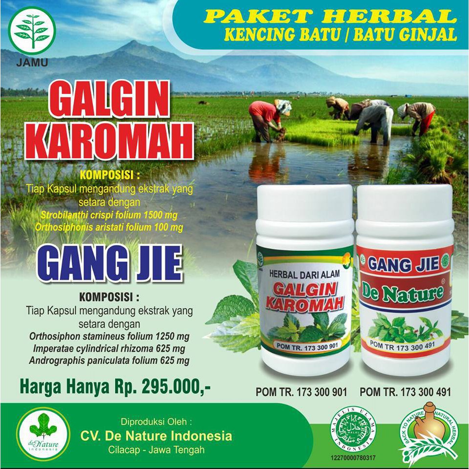 Galgin Gang Jie - Obat Batu Ginjal - Obat Kencing Batu - Herbal Asli