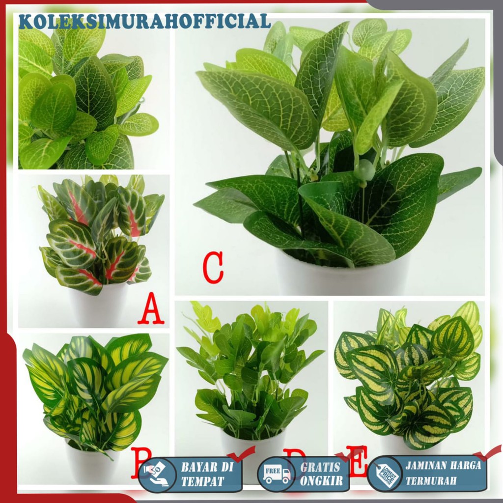 COD TANAMAN HIAS TANAMAN DAUN PLASTIK TANAMAN HIAS RUMAH BUNGA HIAS BUNGA PLASTIK BUNGA BP8844