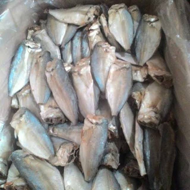 

Ikan asin peda buntung 100gram