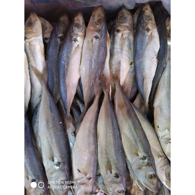 

Ikan Asin Japuh layang