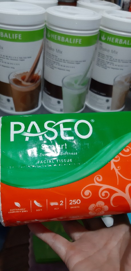 Tissue Paseo Smart 250s 2 Ply